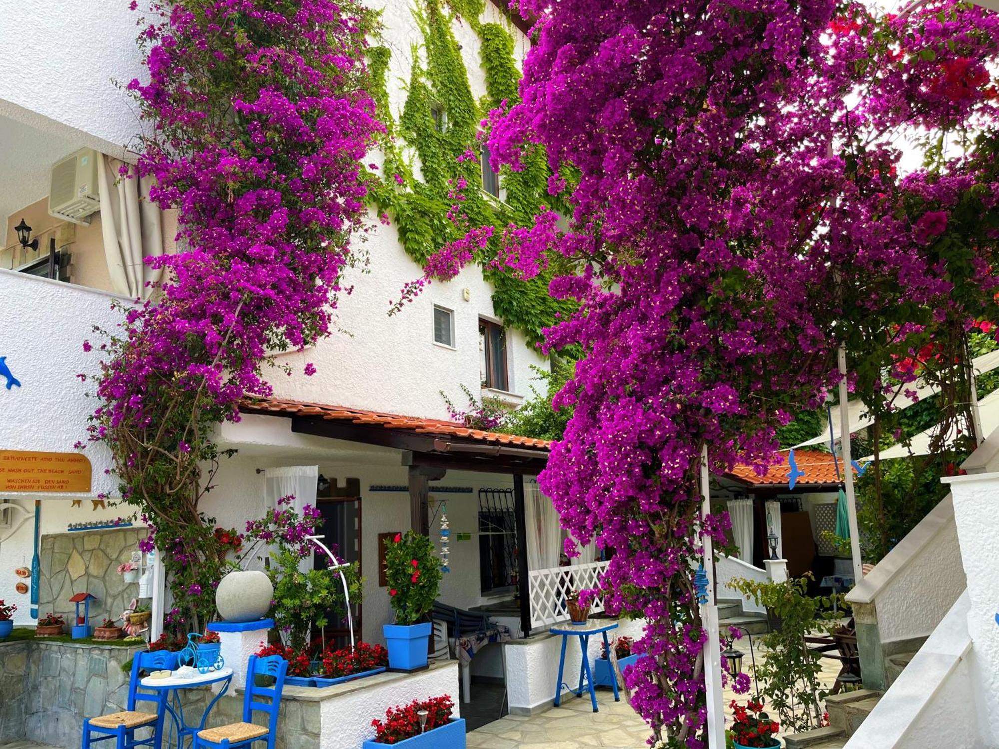 Haus Niko Apartments And Suites 네아 포티데아 외부 사진